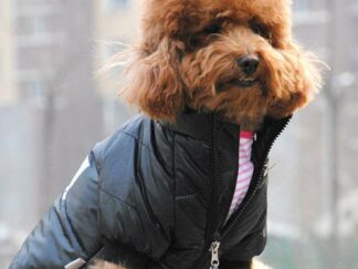 Zwart jas bodywarmer