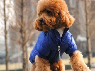 Blauw jas bodywarmer