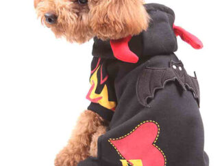 Chihuahua jumpsuit (tracksuit)